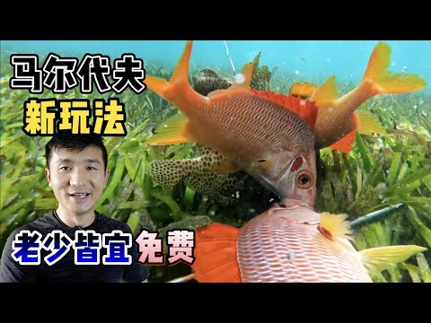 《环球探海记》马尔代夫 第14天：今天推荐个有趣又免费的新玩法，老少皆宜！  #马尔代夫  #赶海  #海钓  #旅行  #旅行攻略