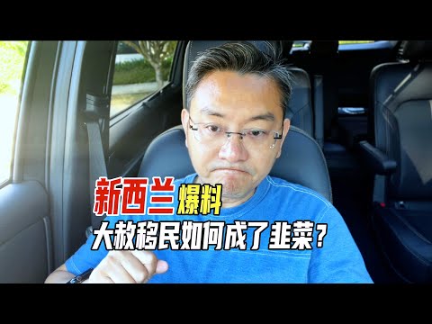 新西兰爆料，大赦移民成韭菜，海外不是天堂，中年移民务必三思