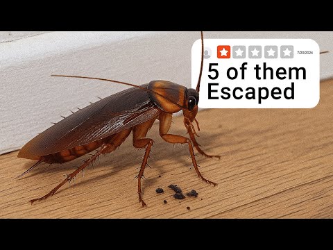 I Tested One Star Pets...