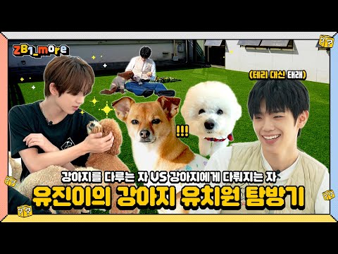 [ZB1_more] 유진이의 강아지 유치원 탐방기 (with 테리 대신 태래) 🎬. more