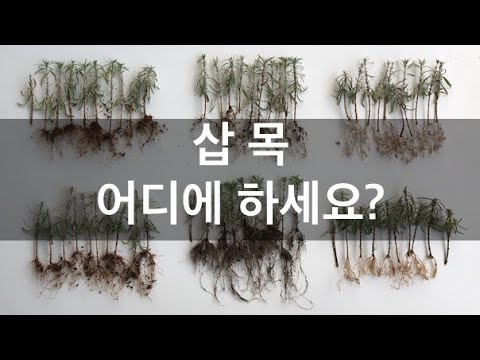 We have found the most suitable material for potting soil.