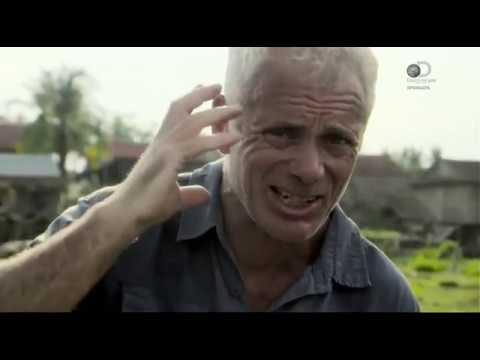 речные монстры рыба сабака