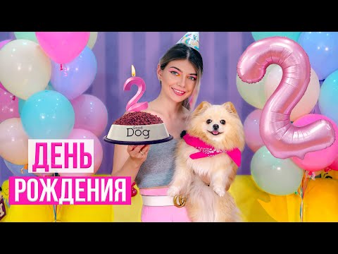 ДЕНЬ РОЖДЕНИЯ СОБАЧКИ ЭЛИС - Исполнилось 2 Года! ПОДАРИЛИ НОВОГО ДРУГА ? ПОДАРКИ