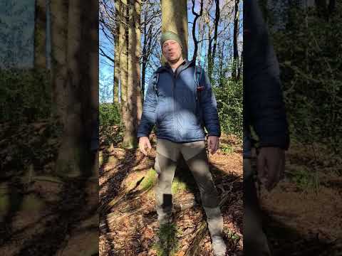 Höhlenexpedition in einem riesigen Labyrinth