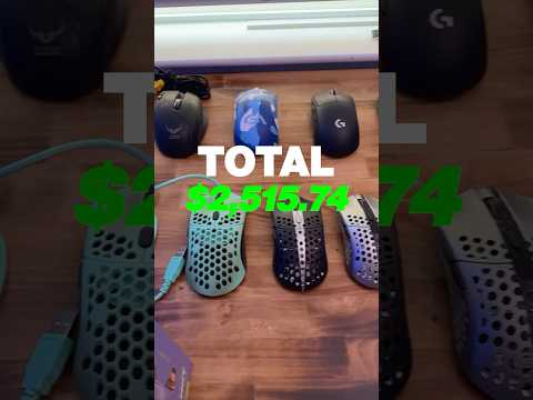 My Gaming Mouse Collection Costs This MUCH??