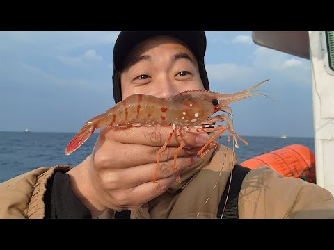 Let's catch and eat the most expensive Dokdo shrimp in our country!