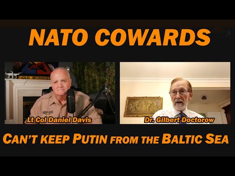 NATO Cowards /Dr. Gilbert Doctorow & Lt Col Daniel Davis