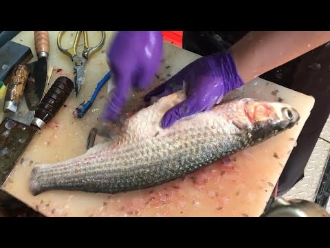 這麼大一尾，就來個烏魚二吃吧！