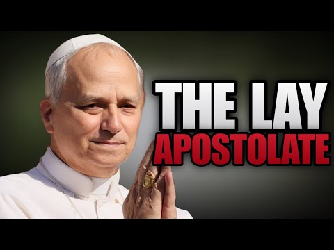 Pope Leo Speaks on INFLUENCERS and the INTERNET…