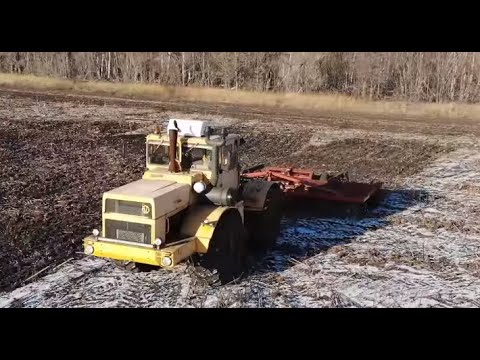 Трактор Кировец. Дискование стерни подсолнечника. Несколько дней в одном видео.