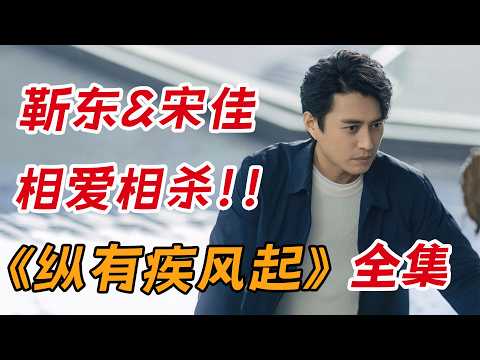 靳东&宋佳相爱相杀！一口气看完都市创业剧《纵有疾风起》全集