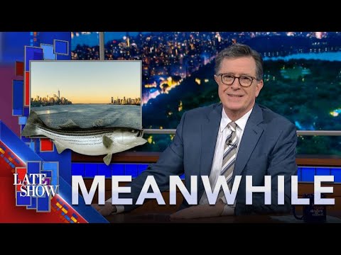 Meanwhile... Lower Your Dementia Risk | Runcations | Eat Fish From The Hudson River