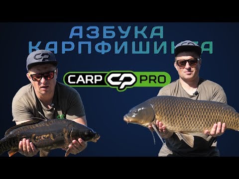 Азбука карпфишинга - ловля крупного карпа на озере! Охотники за трофеями!
