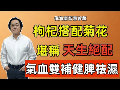 倪海廈：比單吃強上百倍！枸杞和菊花天生絕配 ！每天泡水喝一杯，氣血雙補，健脾祛濕，肝腎更好！