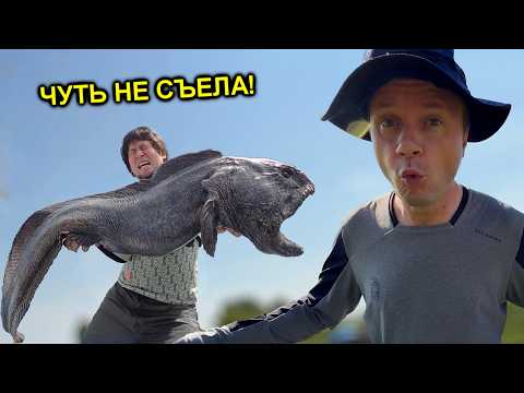 ✅Shock 😱 We catch fish in the swamp using old-fashioned Thai methods ☠️🐟