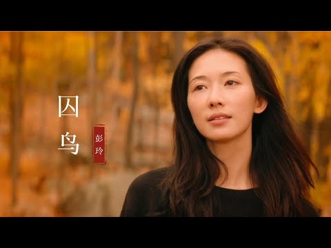这才是《囚鸟》真正的原唱，歌声是如此撕心裂肺，听哭了伤心的人