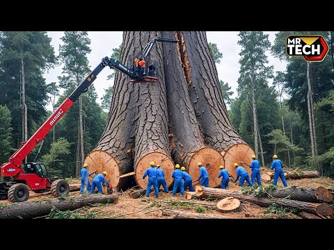 Extreme Dangerous Fastest Big Chainsaw Cutting Tree Machines | Monster Stump Removal Excavator #65