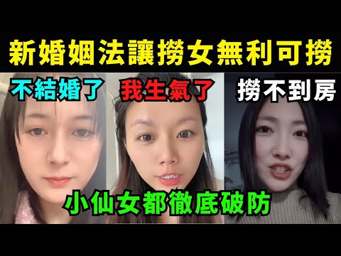 新婚姻法讓撈女無利可撈， 小仙女都徹底破防，網民對新婚姻法的真實看法
