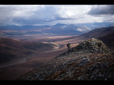 Arctic Circle Grizzly / Moose / Caribou Hunt