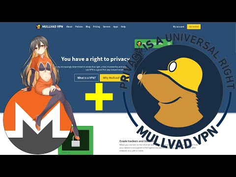 Now THIS is What a Private VPN Looks Like