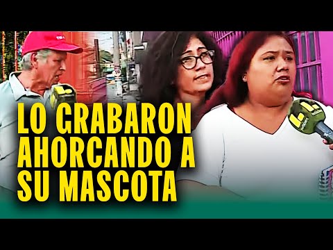 Denuncian que sujeto intentó ahorcar a su perrita en un árbol