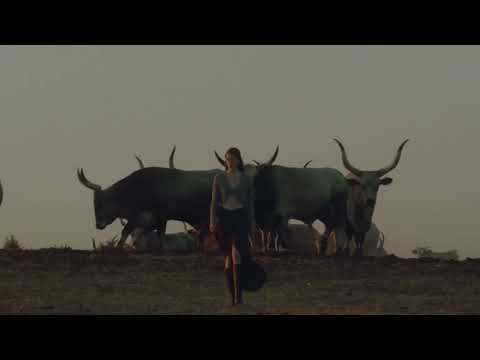 Emporio Armani - 2025 Spring/Summer Collection