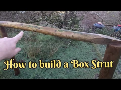 How to build a box strut 