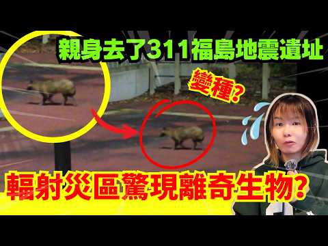 【311東日本大地震廢墟之行】廢墟中驚現疑似輻射變種生物？親身探訪輻射區 | 海嘯後時間停頓了的城市 | 福島縣雙葉町 | 地震遺跡 | 星期X自由行 中文字幕 #靈異 #廢墟 #詭異 #地震 #輻射