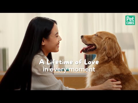 A Lifetime of Love with PetCubes