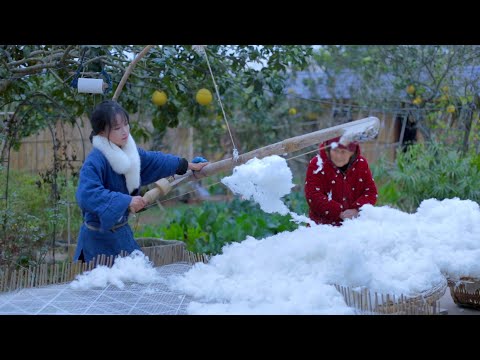 The Purpose of Cotton 棉...棉花的一生，我保证下次想个新系列名字哈哈哈丨Liziqi Channel