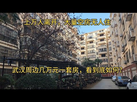 上万人离开，留下大量空房无人住，武汉周边几万元一套房，看到底如何？