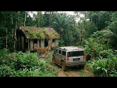 Outdoor to AMAZOON with My Girlfriend & Repairing an old house abandoned in the Forest