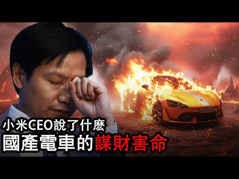 雷軍慘遭全網攻擊｜國產新能源車背後的安全隱患｜我的好兄弟買了小米SU7