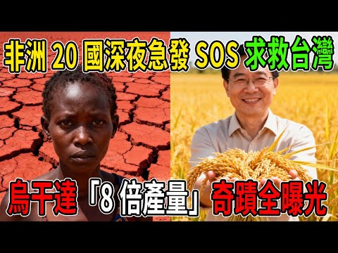 全球震驚！非洲20國深夜急發SOS，「唯一指名」台灣！烏干達「8倍產量」奇蹟全曝光，世界看傻眼！#taiwan #熱門 #外國人在台灣 #台灣 #分享