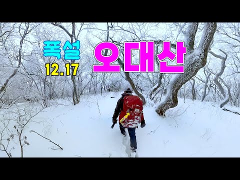 December 17th, Odaesan Mountain in heavy snow/The beautiful snowy scenery of Odaesan Mountain ope...
