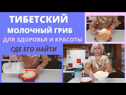 🔴Tibetan milk mushroom🔴For health and beauty🔴Where to buy @SubTatiana