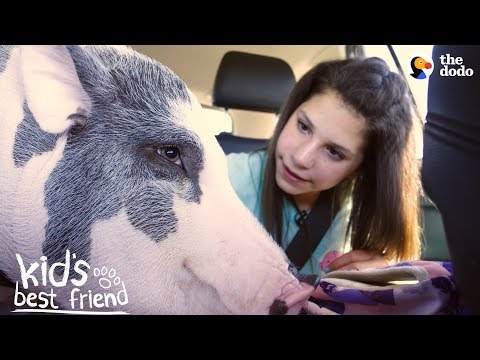 Girl's BFFs Are Two Pigs — Who Act Just Like Dogs | The Dodo Kid's Best Friend