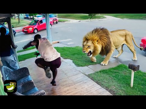 One in a Billion Animal Moments Caught on Camera #10