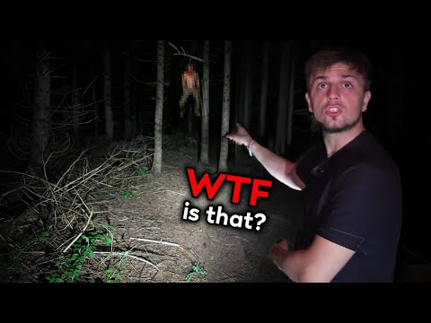 100 Most Disturbing Forest Encounters Caught On Camera...
