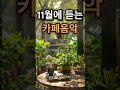 11월에 듣는 카페음악☕🍂 #가을에듣기좋은노래 #카페음악 #힐링음악 #shorts Vol.72