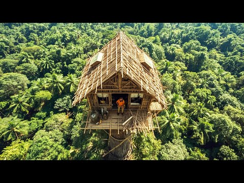 Membangun Rumah Persembunyian dari Bambu di Atas Pohon dan Bertahan Hidup Selama 90 Hari Sendirian
