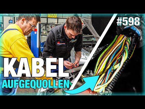 Werkstatt beschuldigt UNS nach eigener Fehldiagnose! 🤨 | Zu viel Ladedruck? Robins irre Fehlersuche!
