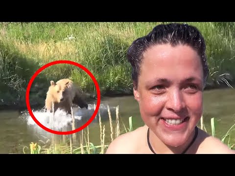 60 Scariest Bear Encounters of The Year