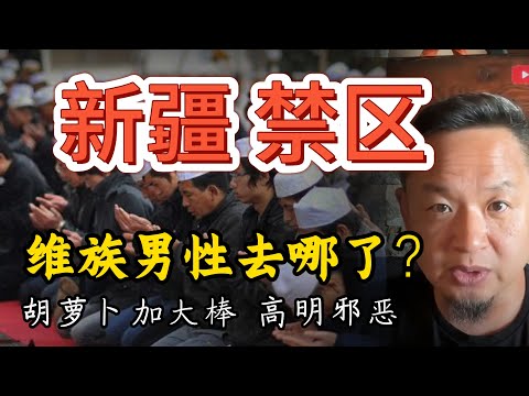 新疆真有集中营？维族男性大规模隔离的真正目的是什么？  | 精准社会工程的背后：政策的高明与邪恶 | 政治是撕裂人群最简单的方法  #中国 #新疆 #维吾尔族 #集中营 #大老王