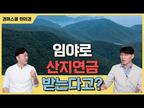 산지연금? 제대로 알아보자!! 정확하게는 산지연금형 사유림 매수인데 이런 산지를 찾기가 쉽지 않을 것 같은데...