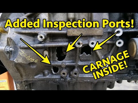 Catastrophic Ford Focus 2.0L Engine Teardown. Single Cheek Repair And A Driver Who Didn't Care!