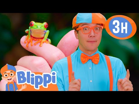 Blippi Explores The JUNGLE! | Blippi and Meekah Best Friend Adventures | Educational Videos for Kids