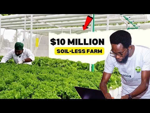 The Man Behind the Largest SOILLESS FARM in Nigeria