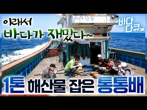 300미터 그물 30개! 4시간 쉬지 않고 끌어 올렸더니 1톤 해산물이 쏟아진다~ / 꽃게가 몰고 온 풍어 / 바닷사람이 되거든 / #바다다큐