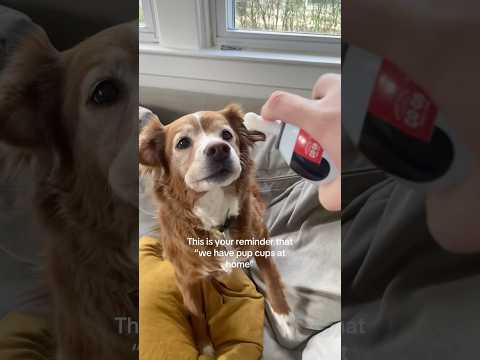 Kit’s daily routine